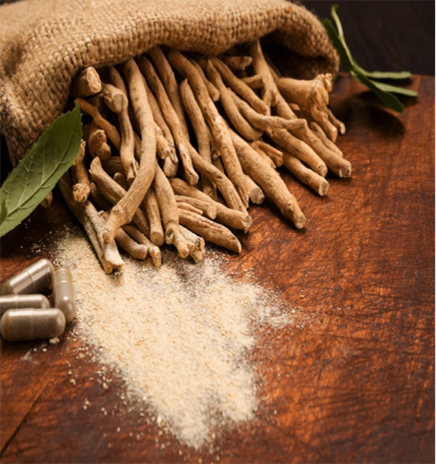 Ashwagandha Extract